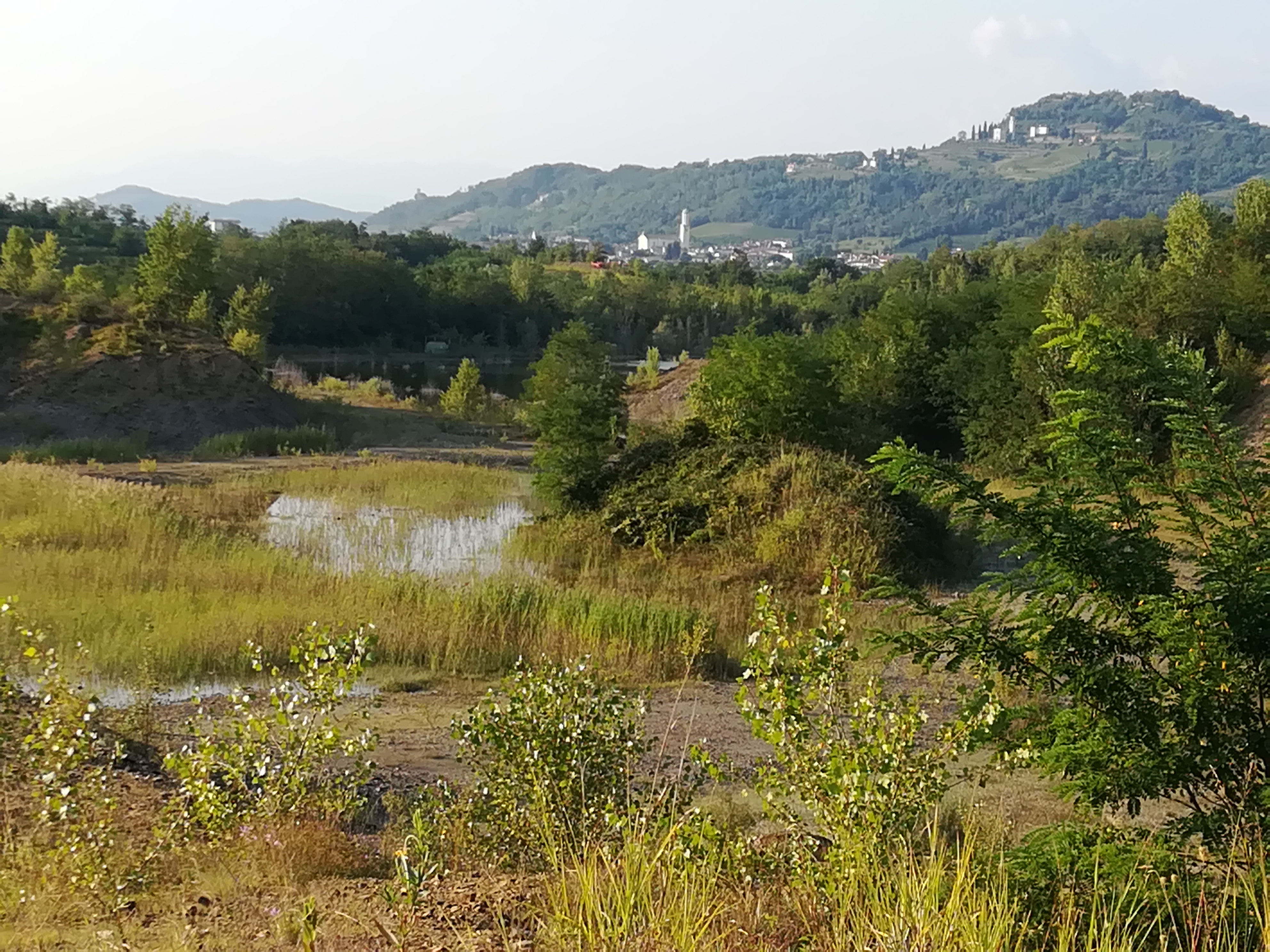 Immagine per Ex cava di Bosc di Sot, Legambiente attacca: «Così non si tutela l'area»